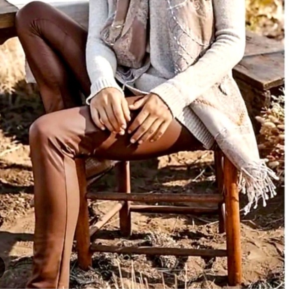 NWT J. Jill Vegan Leather Pants in Hickory Size XL Pull On Fleece Lined Stretchy - Picture 2 of 14